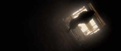 It always gives us
what we aren't expecting… - Secrets of the Saqqara Tomb