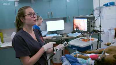 It always looks much bigger
on the screen - 24/7 Pet Hospital