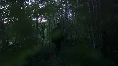 It always seems to be
a pre-cursor before
something's gonna happen. - Expedition Bigfoot