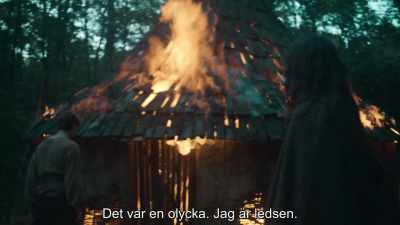It was an accident. I'm sorry. - Dragonheart: Battle for the Heartfire