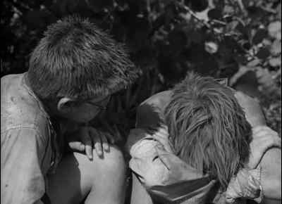 It was an accident - Lord of the Flies