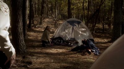 It was an animal. - The Vampire Diaries