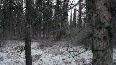 It was an eerie feeling,
to know that, you know, - Life Below Zero: Next Generation