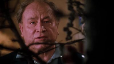It was an ugly tree anyway - National Lampoon's Christmas Vacation