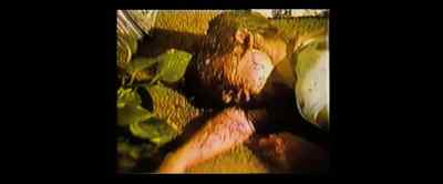 It is assumed that five people
were targeted to be killed - Once Upon a Time in Hollyweird