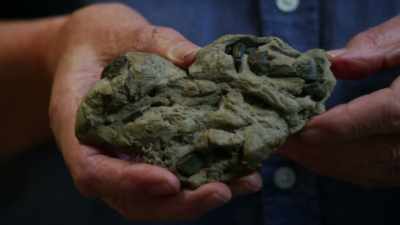 It ate
other ichthyosaur species. - Attenborough and the Sea Dragon