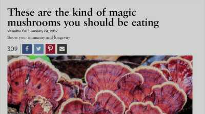 It has been
reported in literature that - Fantastic Fungi