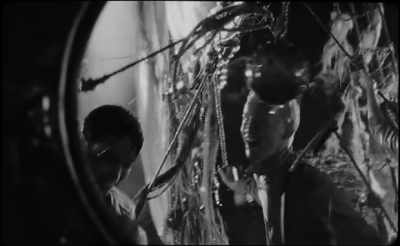 It was before the seeds of our destiny
sprouted. - The Wild Boys