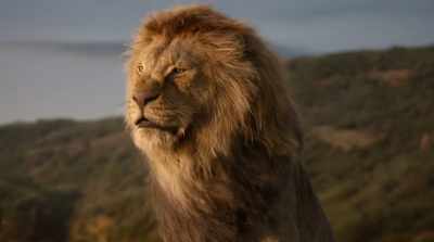 It belongs to no one,
but will be yours to protect. - The Lion King