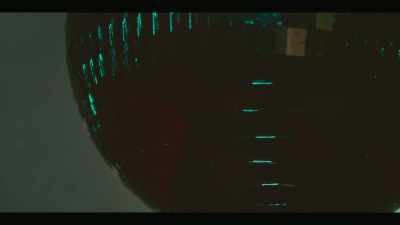 It was big, - Disco’s Revenge