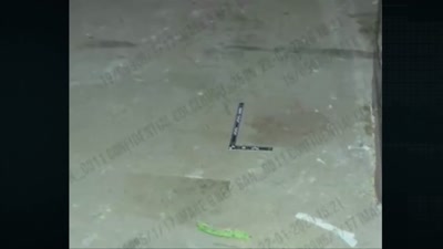 It was blood and matched Julia's. - Killers: Caught on Camera
