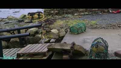It was Bozo, and he
was looking for Molly. - Billy & Molly: An Otter Love Story
