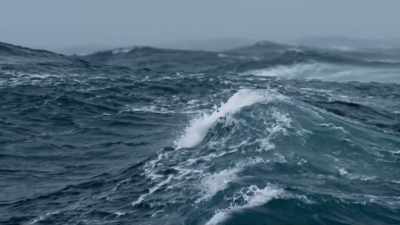 It brings up nutrients
from the depths, - Frozen Planet II