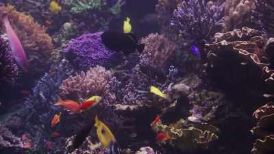 It was called Google Glass,
and we took it for granted. - Ambient Swim