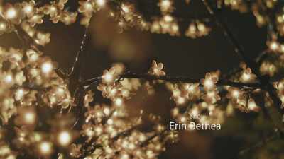 * It came upon a midnight clear
* - Miracle on Christmas