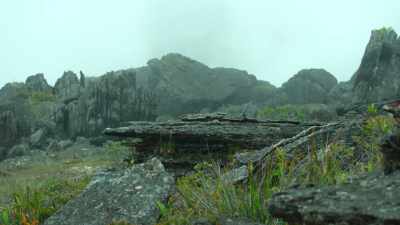 It can be
up to 60 degrees Fahrenheit colder here - Our Great National Parks