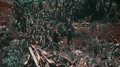 IT CAN TAKE DAYS TO UNTIE
A SINGLE, WELL-PLACED - The Pacific War in Color