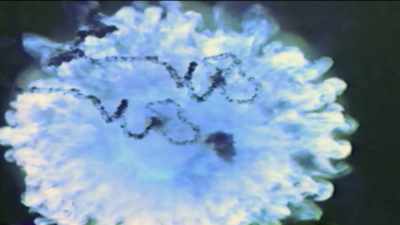 It caused an electromagnetic pulse
that knocked out streetlights, - Alien Endgame