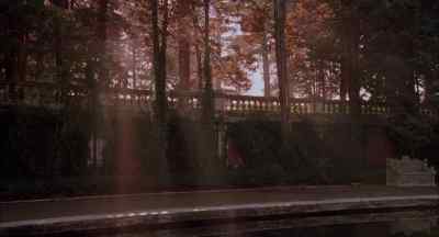 It certainly is beautiful here. - The Amityville Horror