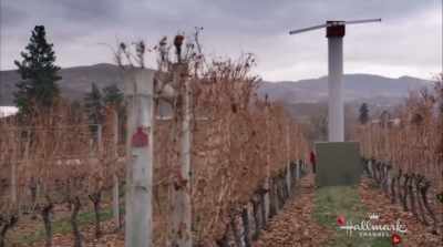It circulates
the cooler air from the ground - Valentine in the Vineyard