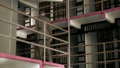 IT CLAIMS TO BE ESCAPE-PROOF - America in Color