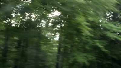 It comes on the very same day
we're hiking to the spot - The Disappearance of Maura Murray