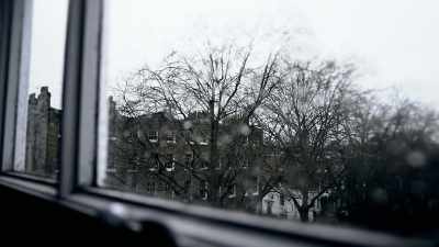 - It was common knowledge - The Murder of Sandra Rivett