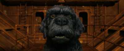 It cools the head
and warms the dog-bones. - Isle of Dogs