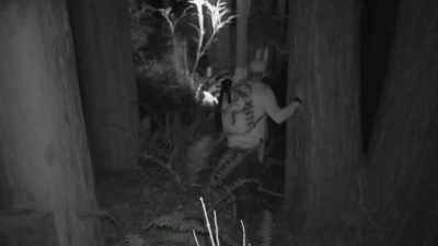 It could be a coincidence
but now that I found it, - Expedition Bigfoot