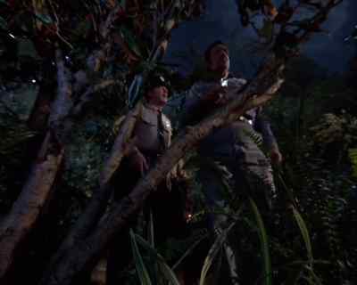 It could be hard to find them
unless you know
where you're going. - Land of the Giants