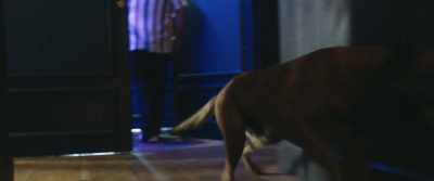 It could be very dangerous for your future, - Dogman