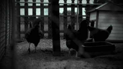 IT CRAVES BLOOD AND NOT THE MEAT. - Strange Evidence