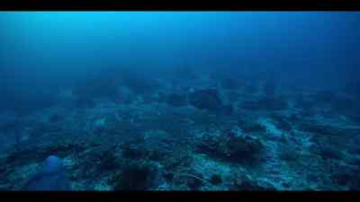It creates bubbles of steam
that, at this depth, implode... - Our Oceans