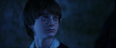 It does not do to dwell on dreams - Harry Potter and the Sorcerer's Stone