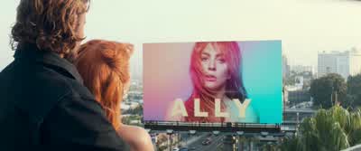 It doesn't do you any justice, I'll tell you that. - A Star Is Born