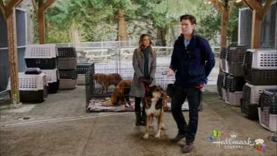 It doesn't have to be hard
or angry, - Love at First Bark