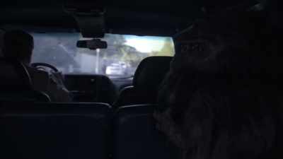 It doesn't look like
you brought enough men. - Critters Attack!