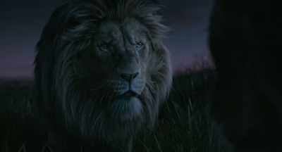It doesn't matter.
We must protect the bloodline. - Mufasa: The Lion King