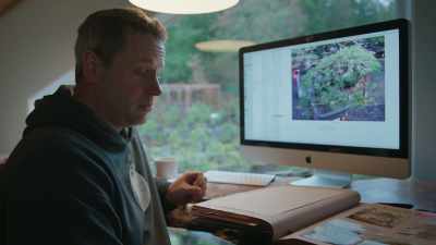 "It doesn't matter
where you eat, - Trees and Other Entanglements