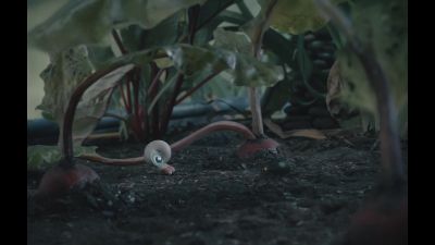 It doesn't seem to... - Marcel the Shell with Shoes On