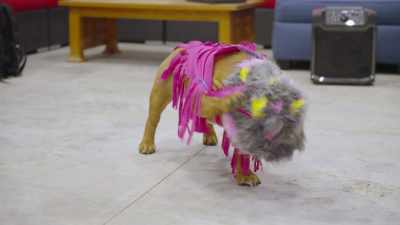 It doesn't work, like,
don't wear them together. - Powder Pup