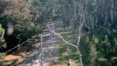 - It was early December and
it looked as though Melbourne - The Cult of The Family