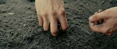 - It eats children, you idiot.
- No, it does not. - The Promised Land