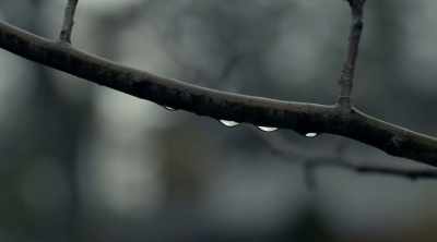 It ends today. This was a
huge turning point for me. - Eli Roth Presents: A Ghost Ruined My Life