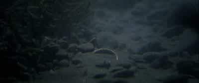 ...it ensnared a new bearer. - The Lord of the Rings: The Fellowship of the Ring