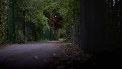 It was explained at John Dunne's trial
by the prosecutor, - When Missing Turns to Murder