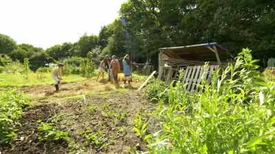 It explained everything, including how to rotate crops, - Back in Time for Dinner