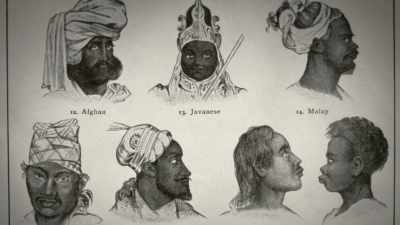 It falsely claimed,
with no evidence, - The American Buffalo