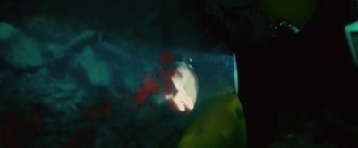 Something bit me - Piranha 3D