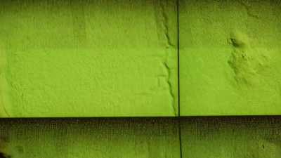 It feels
like the LiDAR is revealing - Lost Treasures of the Maya